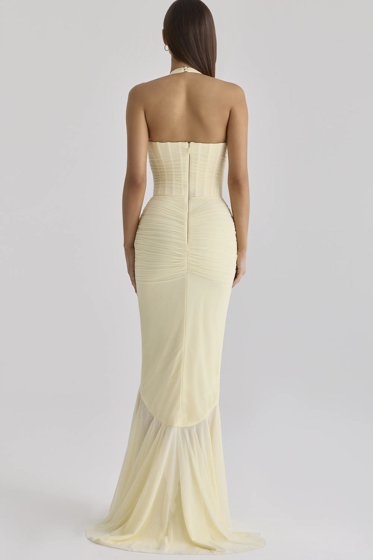 Carmine Lemon Mesh Silhouette Maxi Dress