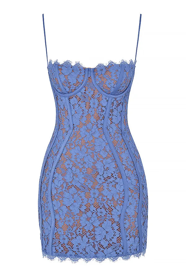 Lala Lavender Lace Mini Dress