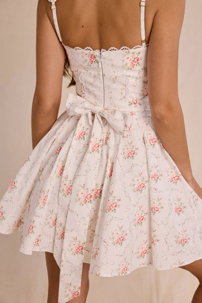 Sade Rose Print Stretch Cotton Mini Dress