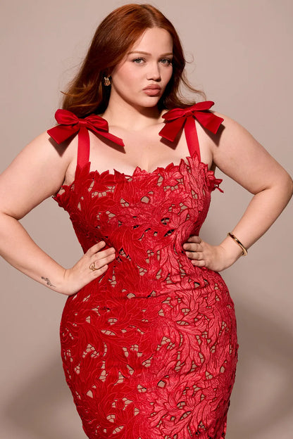 Tiff Holly Red Velvet Lace Maxi Dress