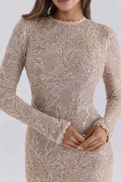 Aurielle Champagne Lace Embellished Backless Mini Dress