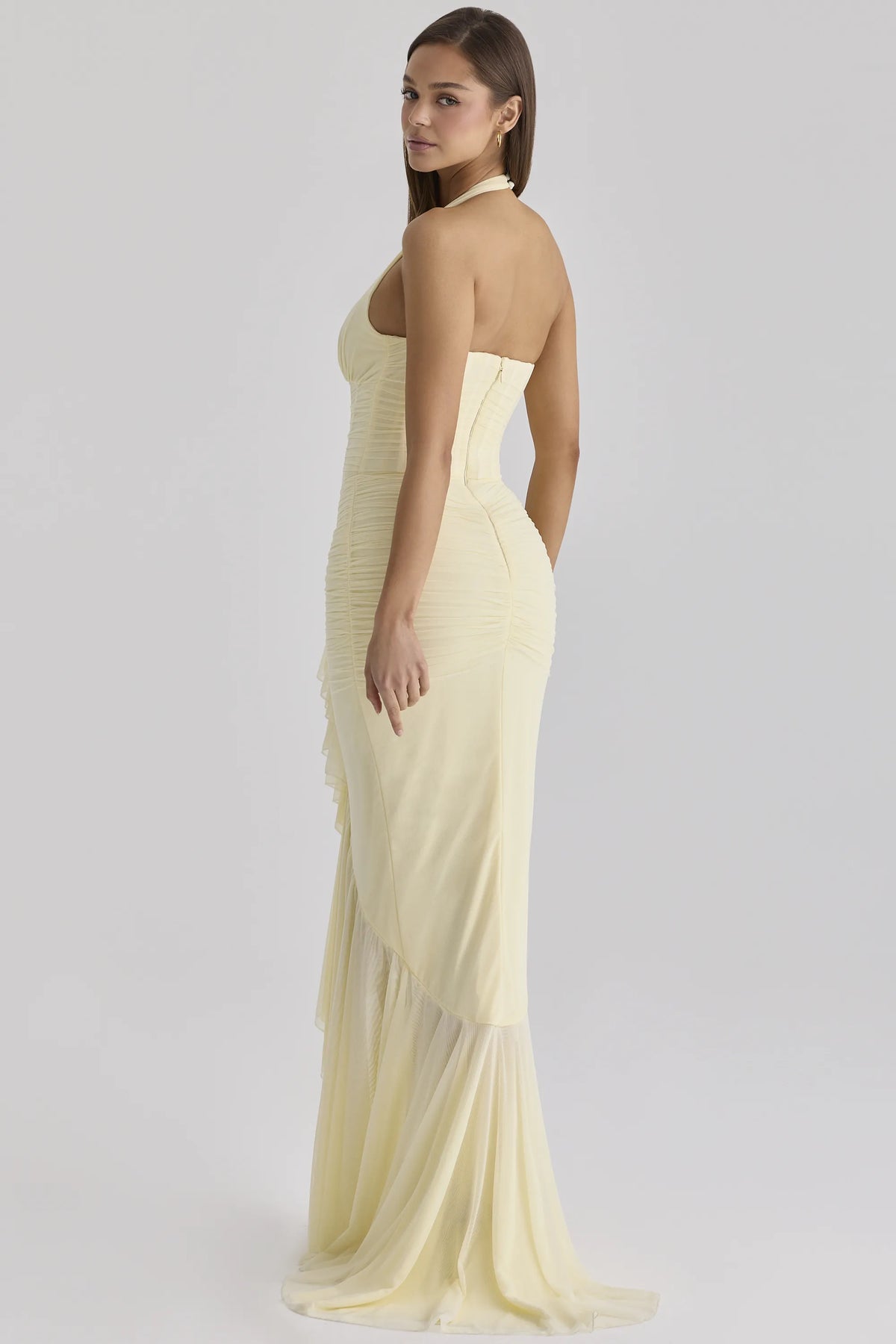 Carmine Lemon Mesh Silhouette Maxi Dress