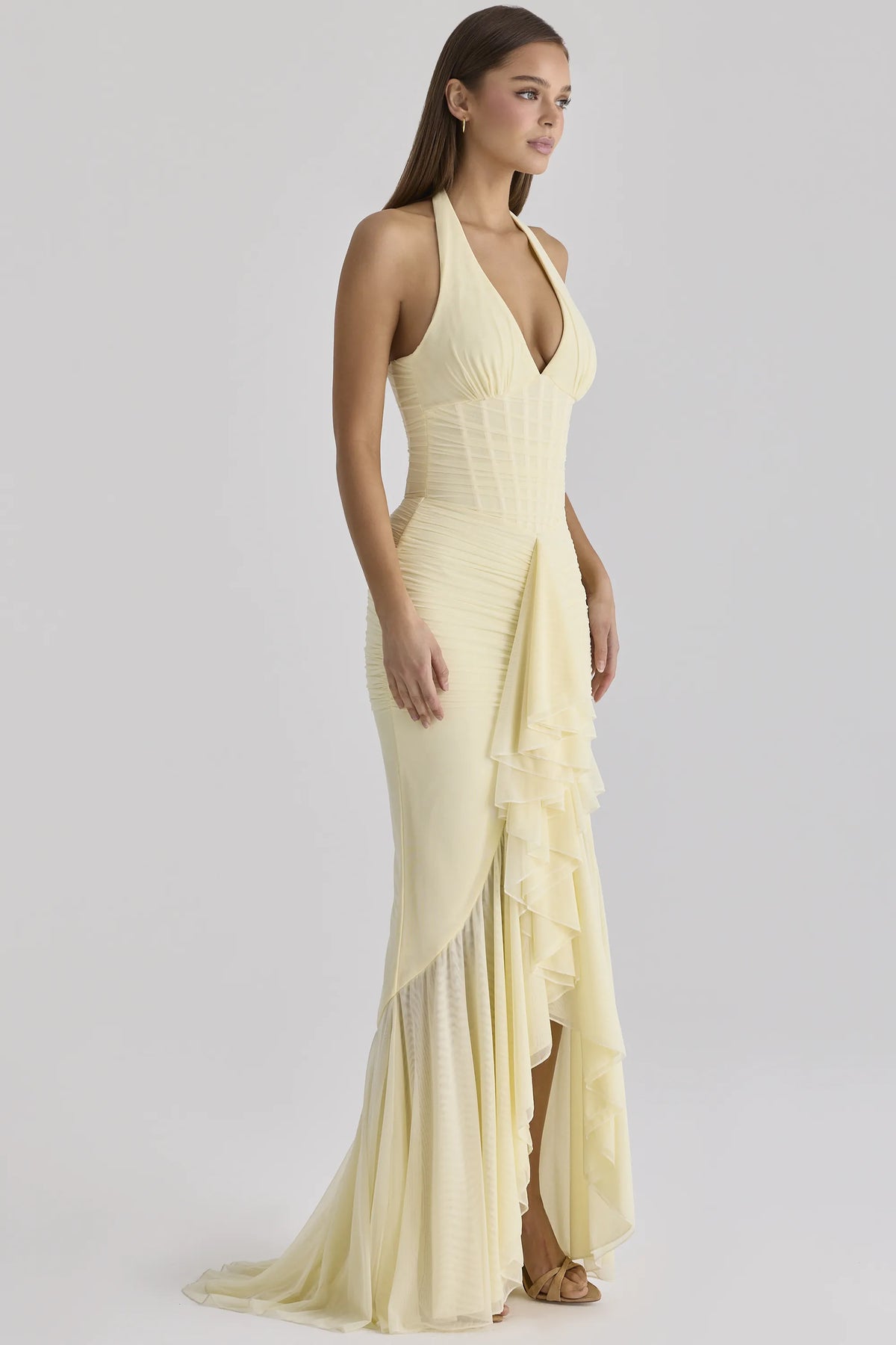 Carmine Lemon Mesh Silhouette Maxi Dress