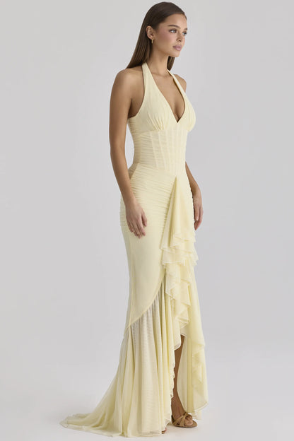 Carmine Lemon Mesh Silhouette Maxi Dress