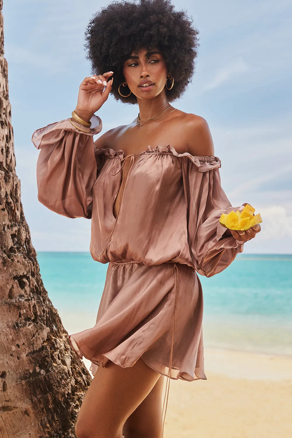 Chaya Hazelnut Off Shoulder Dress