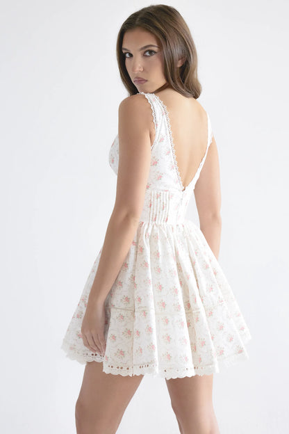 Salma Rose Print Mini Dress