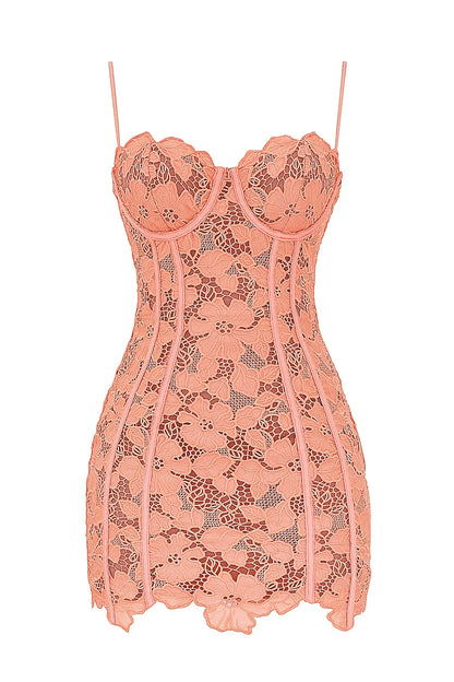 Ilayda Sorbet Embroidered Floral Lace Mini Dress