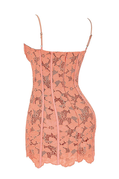Ilayda Sorbet Embroidered Floral Lace Mini Dress