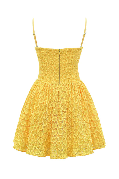 Carolina Apricot Lace Corset Mini Dress