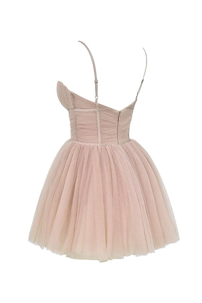 Princess French Rose Tulle Mini Dress