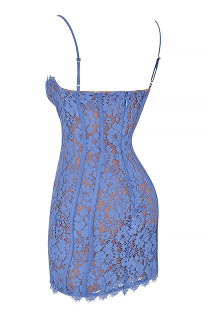Lala Lavender Lace Mini Dress