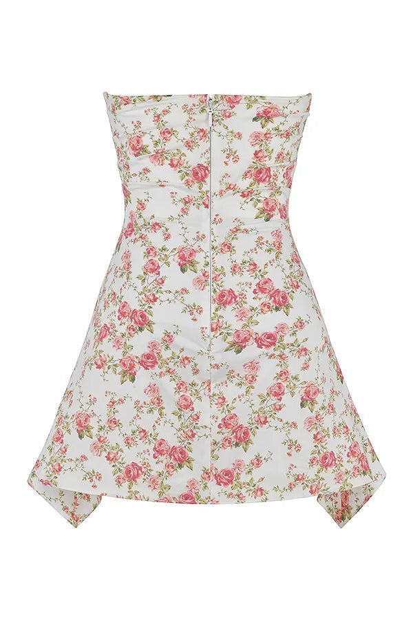 Jasmine Rose Print Draped Corset Dress