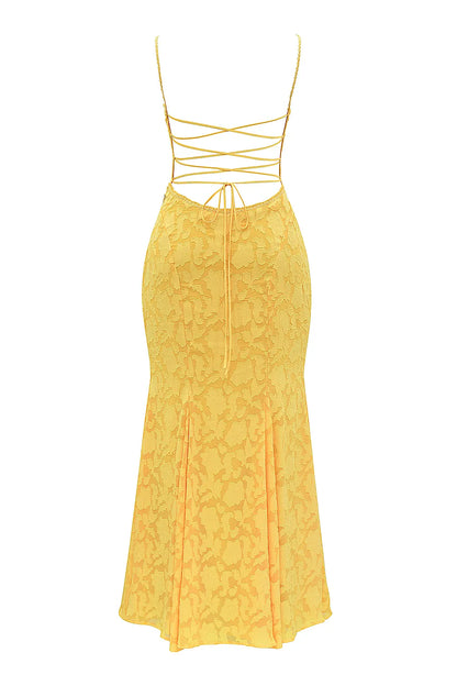 Joan Apricot Lace Up Back Maxi Dress